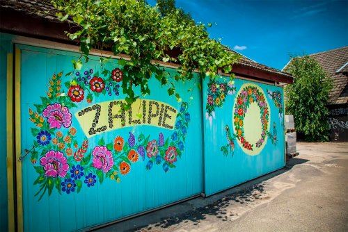 Разноцветье деревни Залипье (15 фото)