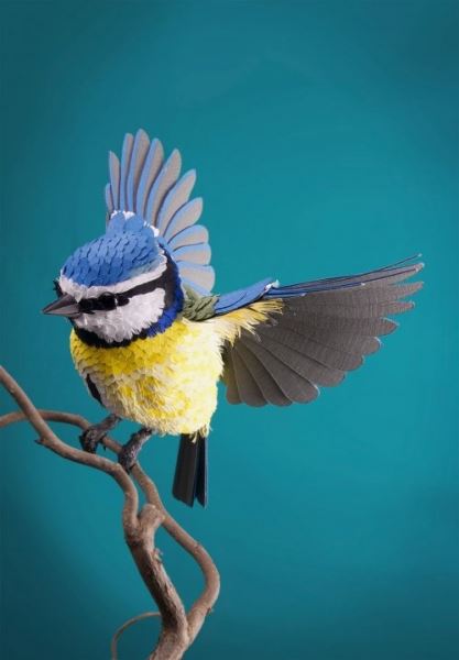 С помощью более чем 4 тысяч кусочков бумаги художница кропотливо создаёт трёхмерные скульптуры птиц и бабочек (9 фото)