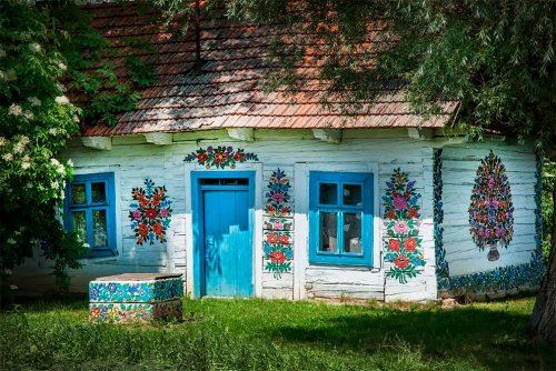 Разноцветье деревни Залипье (15 фото)