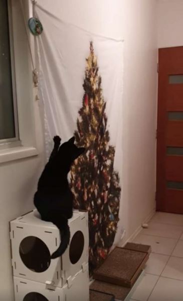 Кошка не понимает, почему она не может сбить очень странное «дерево» (5 фото)