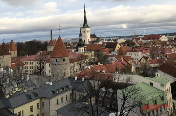 В Эстонии одобрили закон об упрощенном предоставлении гражданства детям